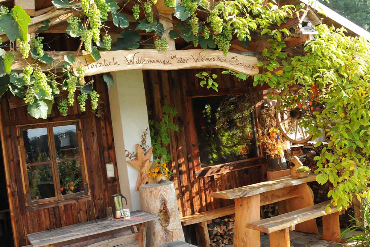natururlaub weinrebensauna